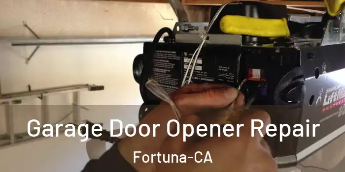 Garage Door Opener Repair Fortuna-CA