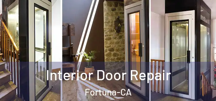  Interior Door Repair Fortuna-CA